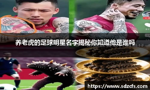 8188www威尼斯官网